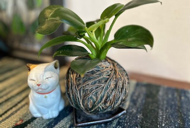 【販売中】コロンとまあるい「毛糸の苔玉」