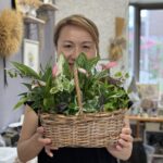 １３日（日）「観葉植物のギャザリング」自宅アトリエ