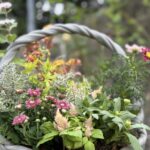 編み込まれた灰色のバスケットに、ピンクや黄色、オレンジの花々が彩り豊かに植えられている。小さな菊のような花や細長い葉の植物が混ざり合い、緑の葉の間に鮮やかな花が映えている。背景はぼかされ、庭の中で自然に置かれている様子が感じられる。