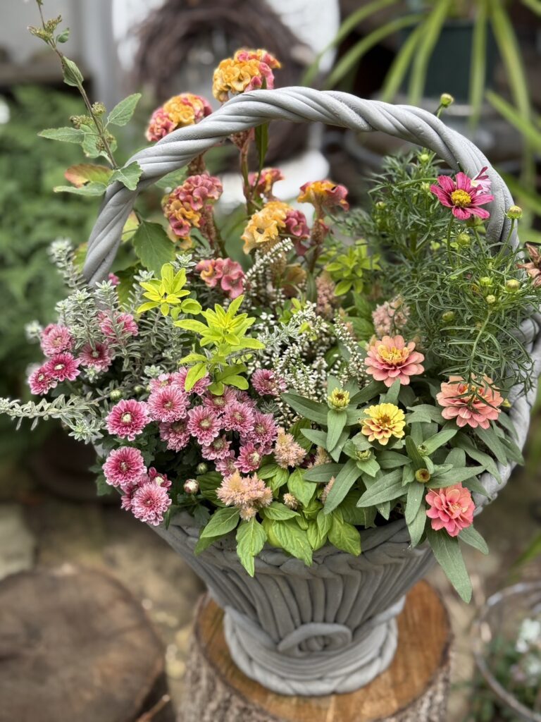 秋色の花々を合わせた寄せ植えギャザリング。優しいピンクとベージュが調和するバスケット。