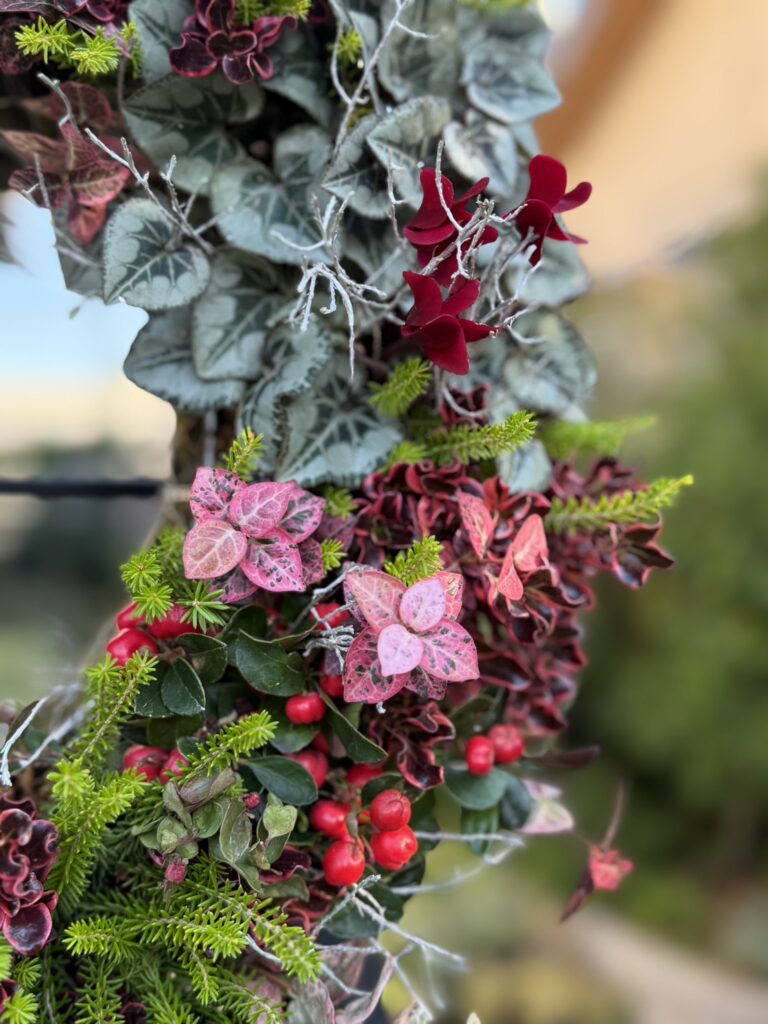 赤い実、ピンクの斑入り葉、シルバーリーフ、深い赤の花など、冬らしい色合いがぎゅっと詰まった寄せ植え。繊細な枝ものと多様な質感が重なり合うデザイン。