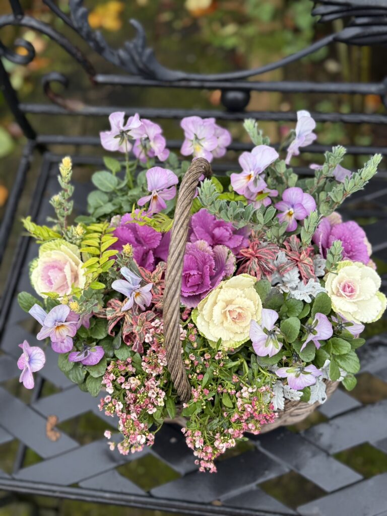黒いアイアンベンチの上に置かれた、花でいっぱいのバスケット。淡い紫のパンジー、クリーム色や紫色の葉ボタン、ピンクの小花や緑の葉が密に寄せ植えされ、中央には木目調の持ち手が立っている。全体に柔らかな色合いで、秋から冬にかけての落ち着いた華やかさが感じられる。
