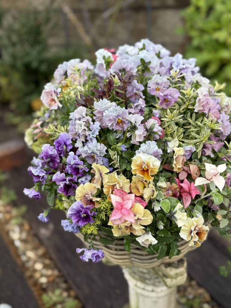 淡い紫や黄色、ピンクなどの小さな花が密に咲いた寄せ植え。フリル状の花びらが重なり、丸くこんもりとした形をしている。編み込みの鉢が石の台に置かれ、背景は庭の緑がぼんやりと写っている。全体にやさしく落ち着いた雰囲気。