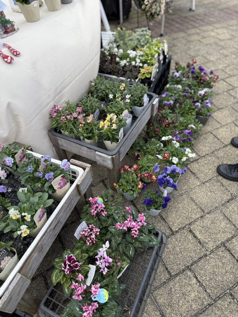 屋外のマーケットで、木箱や黒いトレイに色とりどりの小さな鉢花が並べられている様子。ピンクや紫、黄色などの花が混ざり合い、手前には斑入りの葉を持つシクラメンが目立つ。左上にはテーブルの一部が写り、右端には人の足先が少しだけ見えている。