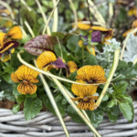 レンガ壁を背景に置かれた、丸い取っ手付きのバスケット寄せ植え。黄色に茶色の筋が入ったパンジーが咲き、緑の葉や銀色がかった葉、細い枝が混ざっている。中央には金色の小さな蛇口の飾りがあり、落ち着いた中に少し遊び心のある雰囲気。