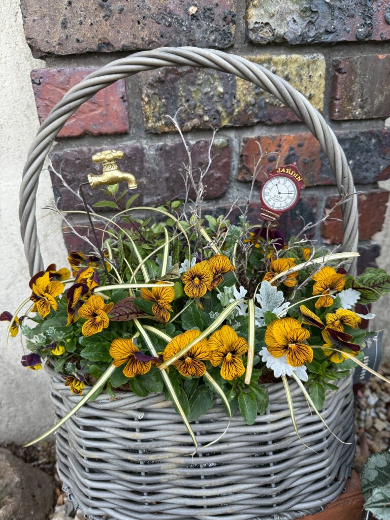 レンガの壁の前に置かれた、グレーの編み込みバスケットの寄せ植え。黄色と黒の模様が入ったパンジーが中心にたくさん咲き、細長い葉や銀色がかった葉の植物が混ざっている。バスケットの中には蛇口の形をした小さな飾りと、「JARDIN」と書かれた時計風のオーナメントが立っており、落ち着いた中にも遊び心のある雰囲気が伝わる。