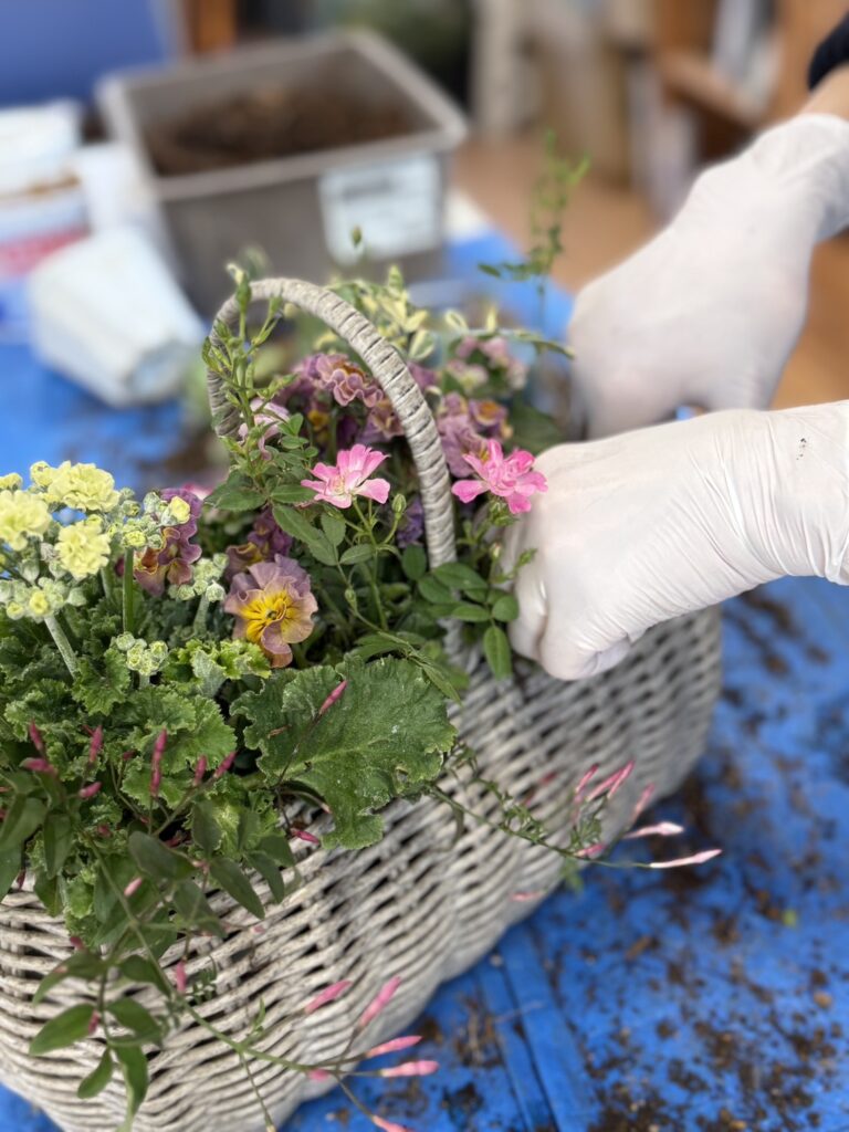 白い手袋をした手で、春の花苗を籠に丁寧に植え込むギャザリング制作風景。色と高さを重ねながら奥行きをつくっている様子。