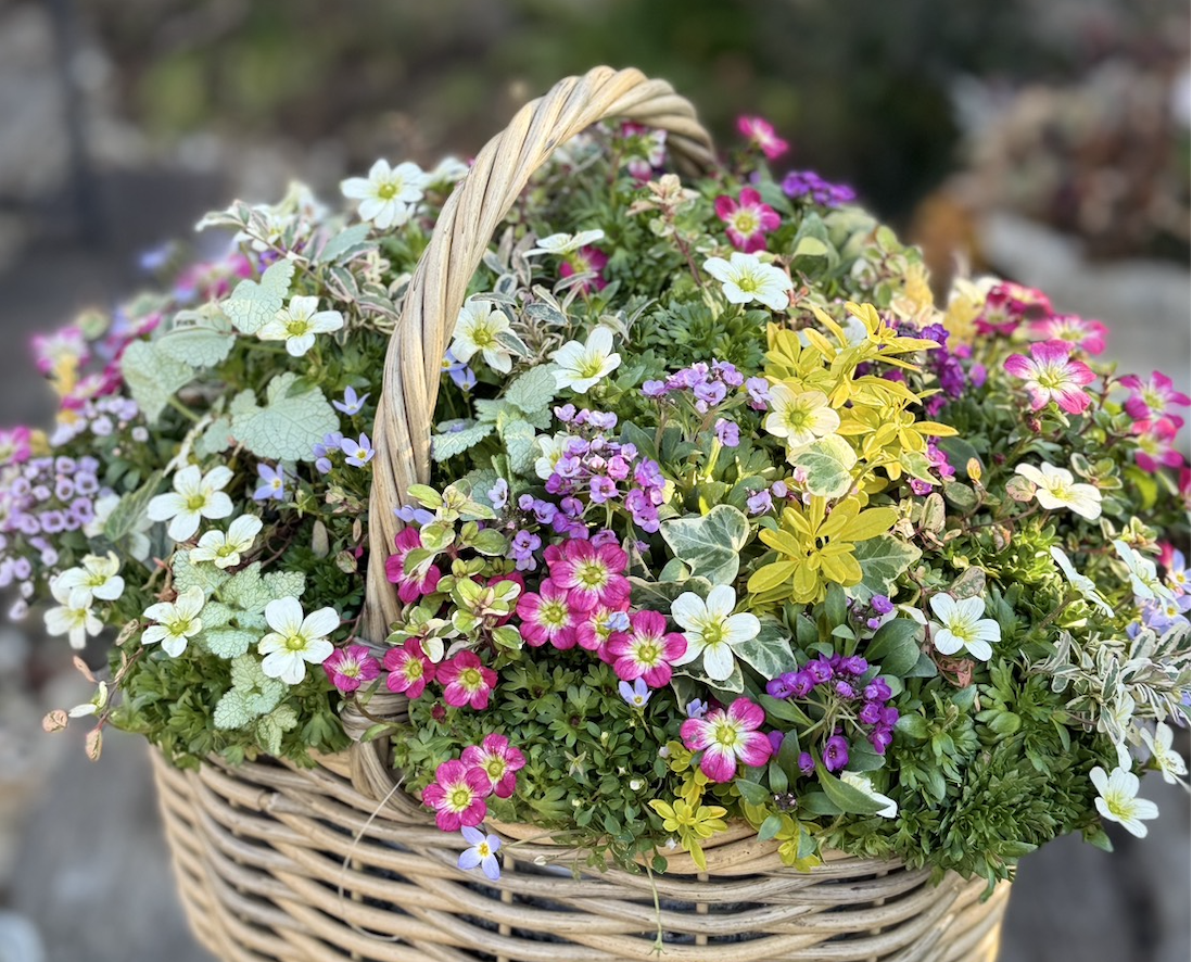 トルソー　インテリア雑貨　ガーデニング雑貨　ギャザリング　寄せ植え 寄せ植え ガーデンギャザリング- LittleAntiqueGarden～リトル
