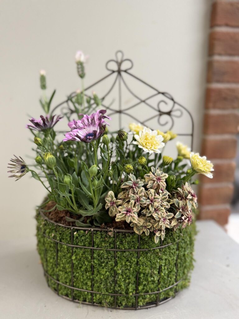 ワイヤーバスケットに植えられた紫と黄色の花と斑入りの植物の寄せ植え