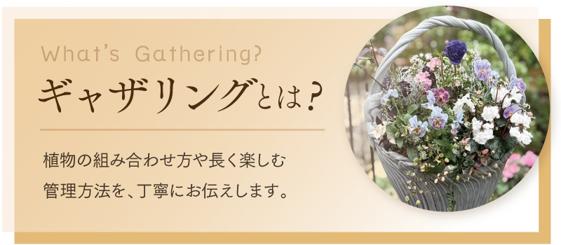 ギャザリングとは？