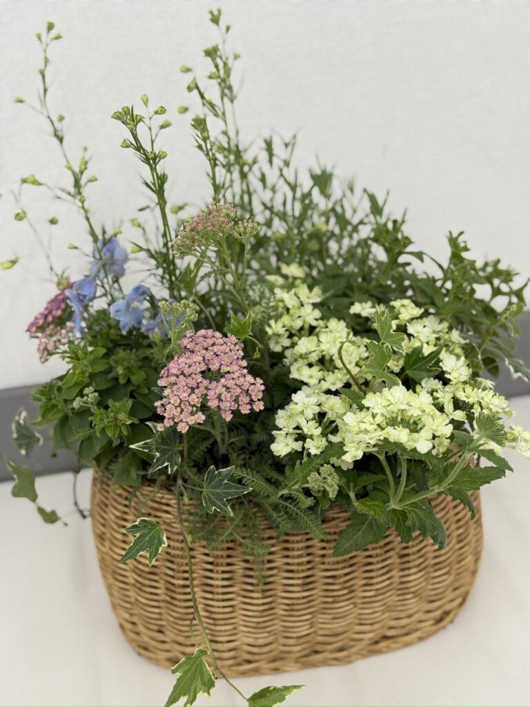かごに植えられたグリーンと小花のナチュラルな寄せ植えアレンジメント