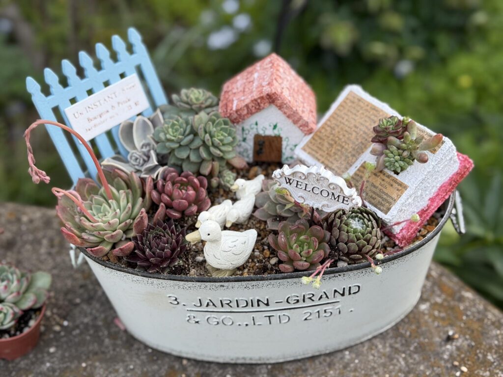 多肉植物の寄せ植えとミニチュアハウスや小物が飾られた可愛いガーデンアレンジメント