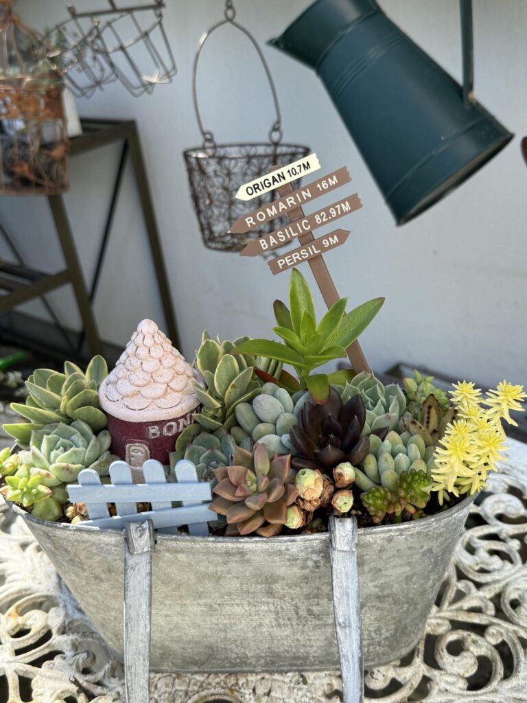 ブリキのプランターに多肉植物を寄せ植えし、小さな家の置物や白いフェンス、植物名のガーデンピックを飾ったガーデンアレンジ