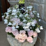 石の鉢に白い小花と淡いピンクの花が寄せ植えされた玄関先の鉢植え
