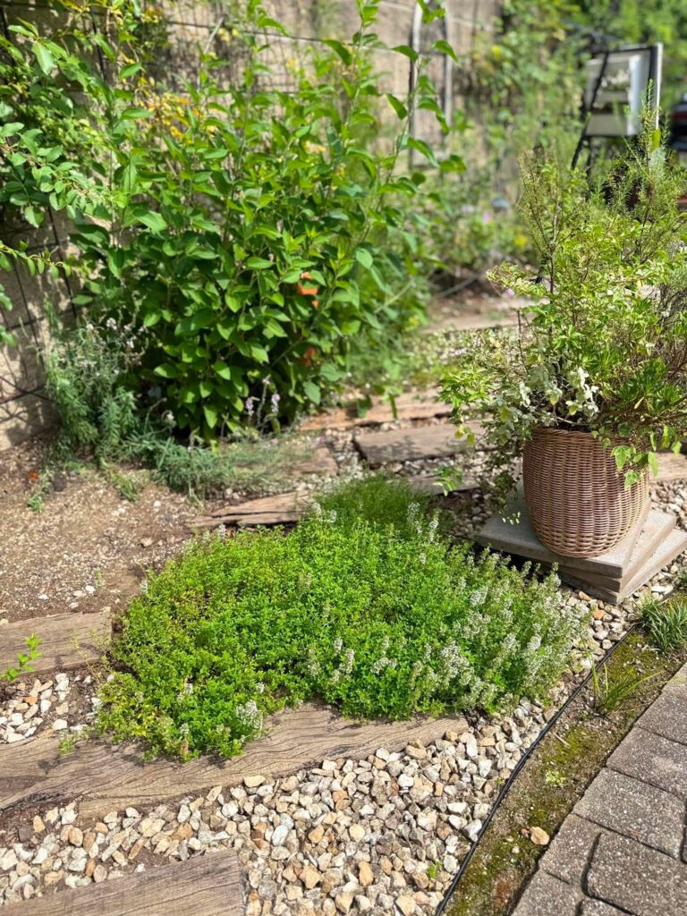 白い花を咲かせるタイムやさまざまな植物が育つ、枕木と砂利を使った小さなハーブガーデン
