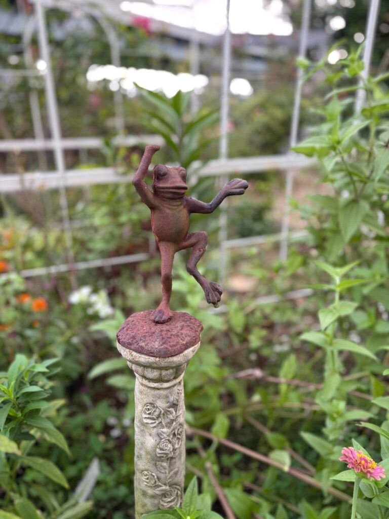 庭の花や緑に囲まれた踊るカエルのガーデンオブジェ