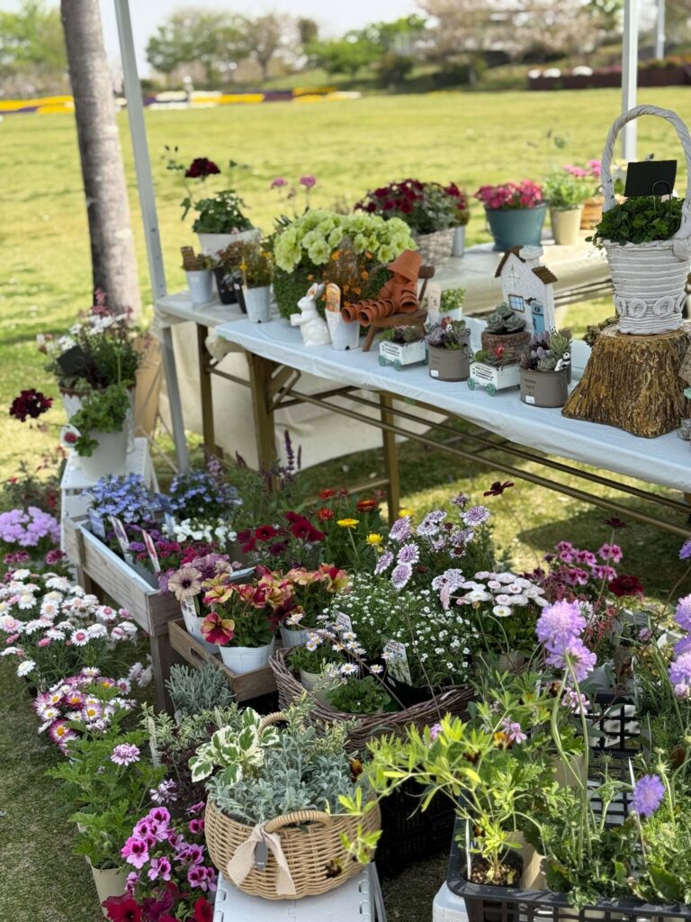 屋外の販売ブースに並ぶ、色とりどりの花苗や寄せ植え、多肉植物と小さな家のガーデン雑貨