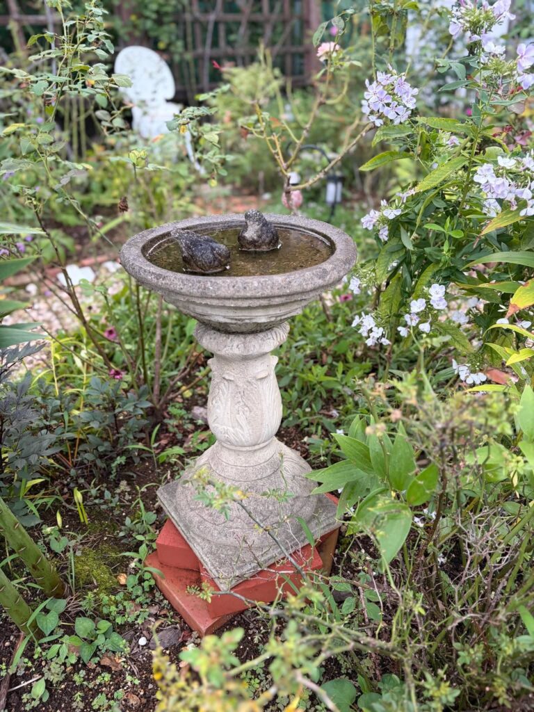 草花に囲まれた庭に置かれたバードバス