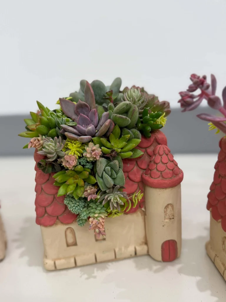 Succulent castle planter